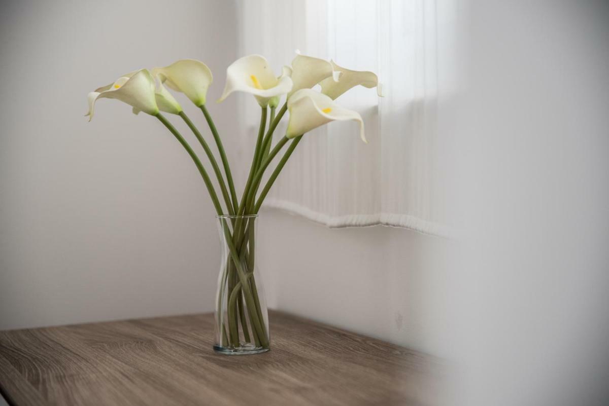 Terrazzo Siciliano Apartment Riposto Ngoại thất bức ảnh